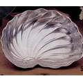 9"x6-1/2" Novella Large Chamber Nautilus Shell Dish